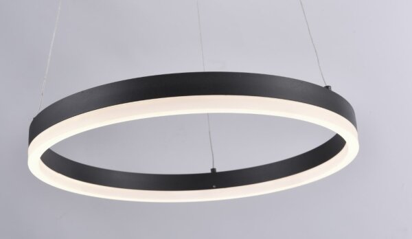 Paul Neuhaus 2381-13 - LED Stmievateľný luster na lanku TITUS LED/28W/230V
