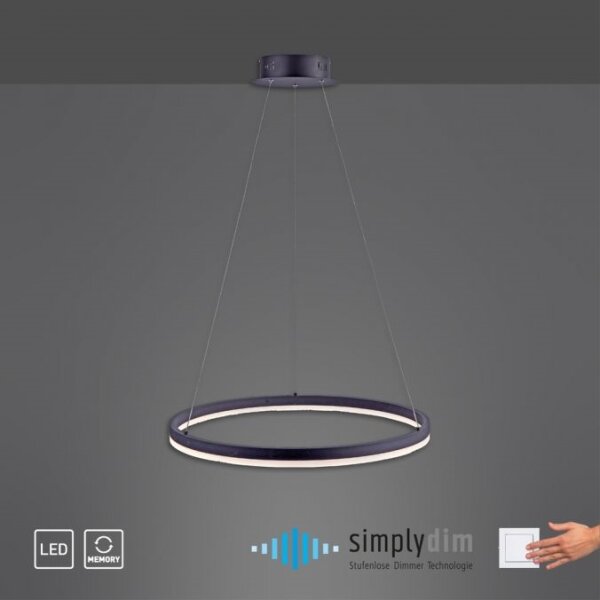Paul Neuhaus 2382-13 - LED Stmievateľný luster na lanku TITUS LED/38,5W/230V