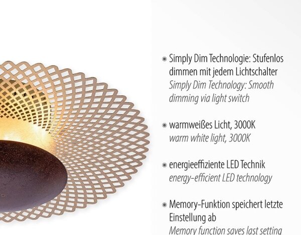 Paul Neuhaus 6551-48 - LED Stmievateľné stropné svietidlo NEVIS LED/18W/230V