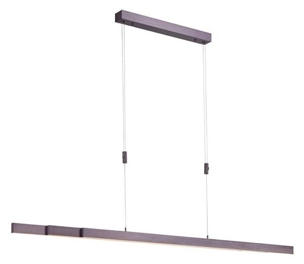 Paul Neuhaus 2568-24 - LED Stmievateľný luster na lanku ADRIANA LED/14W/230V