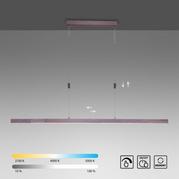 Paul Neuhaus 2568-24 - LED Stmievateľný luster na lanku ADRIANA LED/14W/230V