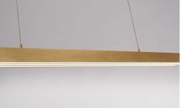Paul Neuhaus 2568-60 - LED Stmievateľný luster na lanku ADRIANA LED/14W/230V mosadz