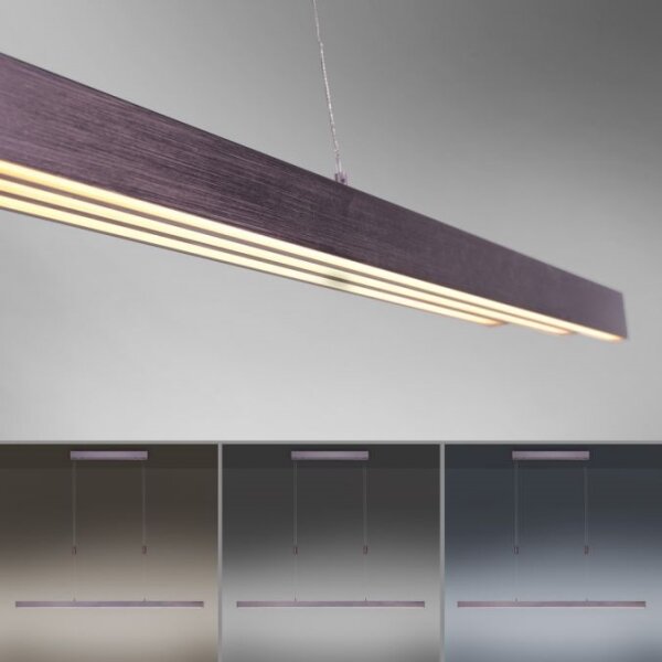 Paul Neuhaus 2568-24 - LED Stmievateľný luster na lanku ADRIANA LED/14W/230V
