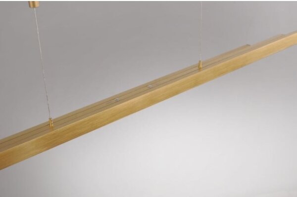 Paul Neuhaus 2568-60 - LED Stmievateľný luster na lanku ADRIANA LED/14W/230V mosadz