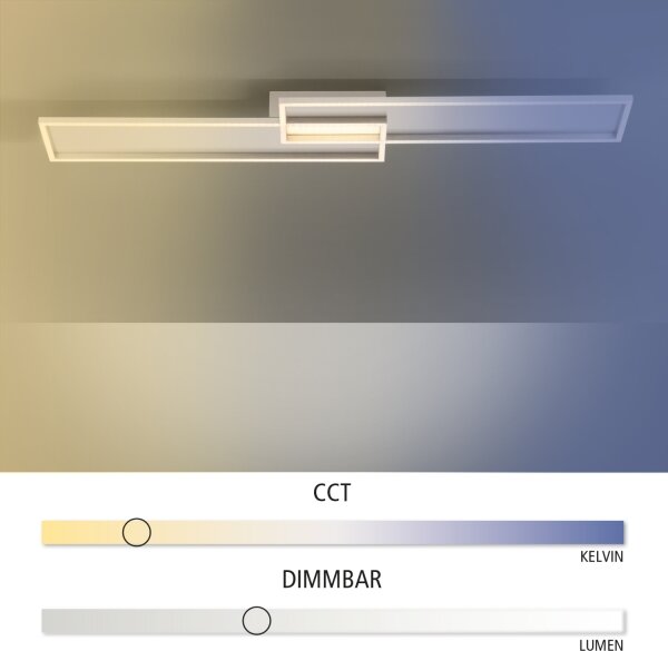 Paul Neuhaus 8371-55 - LED Stmievateľné stropné svietidlo AMARA LED/40W/230V + DO