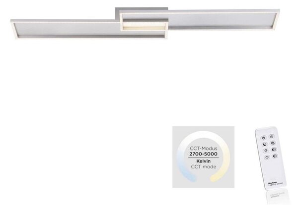 Paul Neuhaus 8371-55 - LED Stmievateľné stropné svietidlo AMARA LED/40W/230V + DO