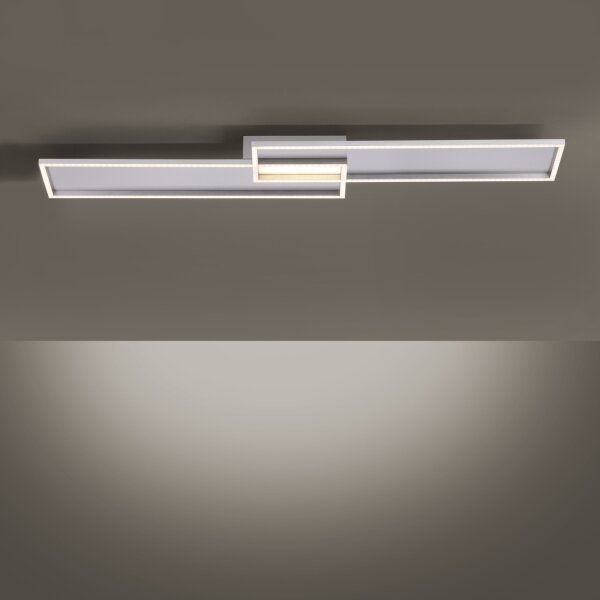 Paul Neuhaus 8371-55 - LED Stmievateľné stropné svietidlo AMARA LED/40W/230V + DO