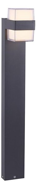 Paul Neuhaus 9481-13 - LED Vonkajšia lampa CARA LED/8W/230V IP44