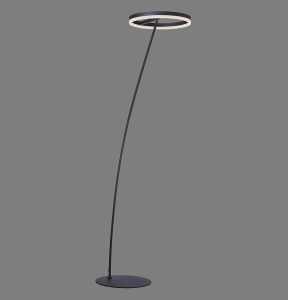 Paul Neuhaus 381-13 - LED Stmevateľná stojacia lampa TITUS LED/19,5W/230V