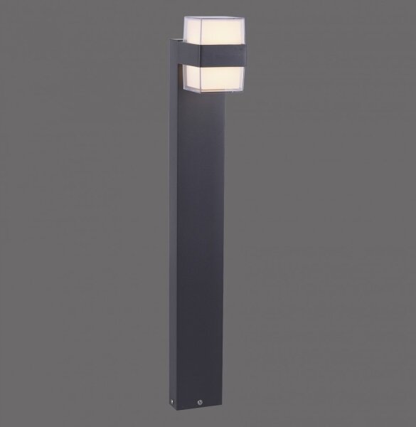 Paul Neuhaus 9481-13 - LED Vonkajšia lampa CARA LED/8W/230V IP44
