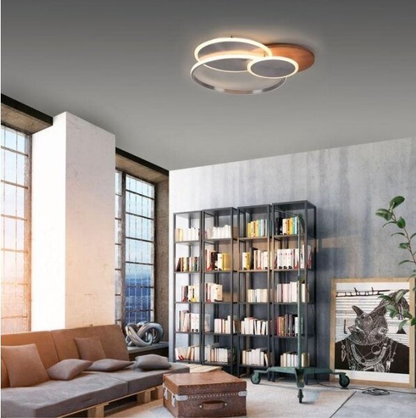 Paul Neuhaus 8328-79 - LED Stmievateľné stropné svietidlo PALMA LED/50W/230V + DO