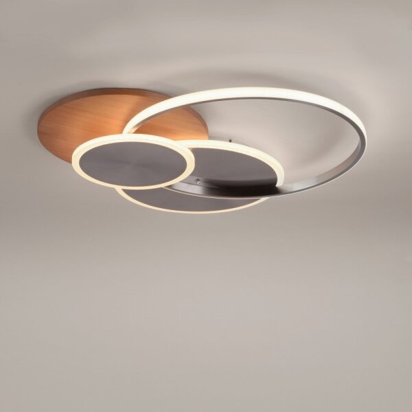 Paul Neuhaus 8328-79 - LED Stmievateľné stropné svietidlo PALMA LED/50W/230V + DO