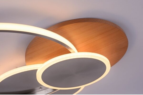 Paul Neuhaus 8328-79 - LED Stmievateľné stropné svietidlo PALMA LED/50W/230V + DO