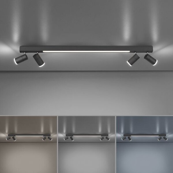 Paul Neuhaus 6121-13 - LED Stmievateľné bodové svietidlo 4xLED/4W/230V + LED/9W+DO