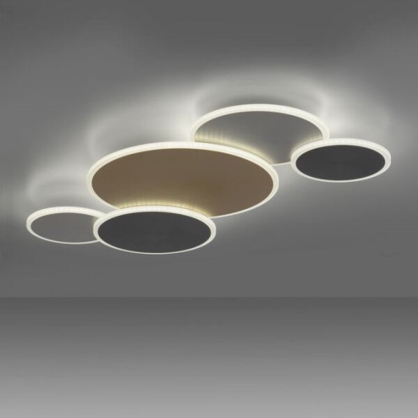 Paul Neuhaus 8008-70-LED Stmievateľné svietidlo Q-PIATO LED/49W/230V 2700-5000K+DO