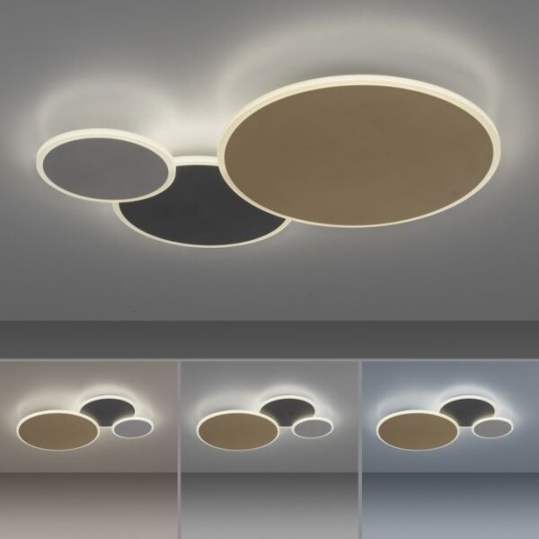 Paul Neuhaus 8007-70-LED Stmievateľné svietidlo Q-PIATO LED/35W/230V 2700-5000K+DO