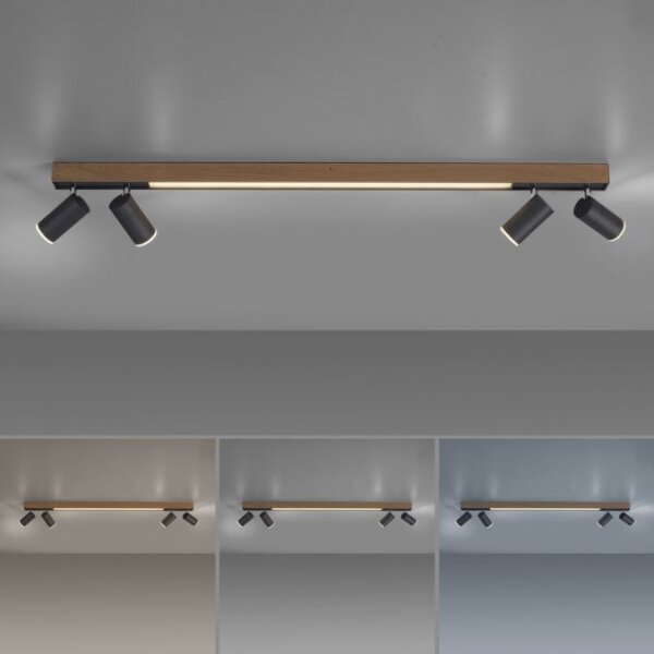 Paul Neuhaus 6121-79 - LED Stmievateľné svietidlo PURE 4xLED/4W/230V + LED/9W + DO