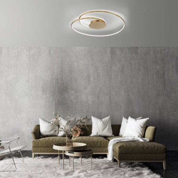 Paul Neuhaus 6189-12 - LED Stmievateľné stropné svietidlo NASTRO LED/26W/230V