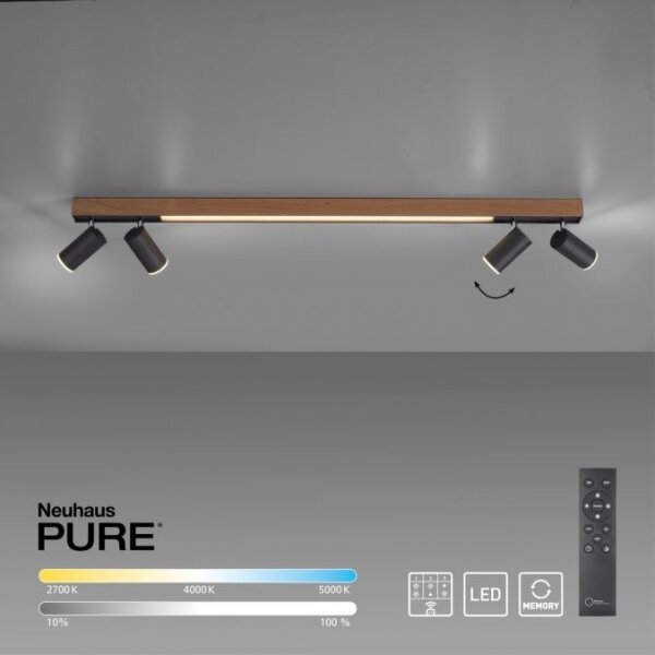 Paul Neuhaus 6121-79 - LED Stmievateľné svietidlo PURE 4xLED/4W/230V + LED/9W + DO