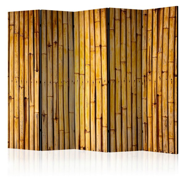 PARAVÁN, 225/172/3 cm artgeist - Paravány, Online Only