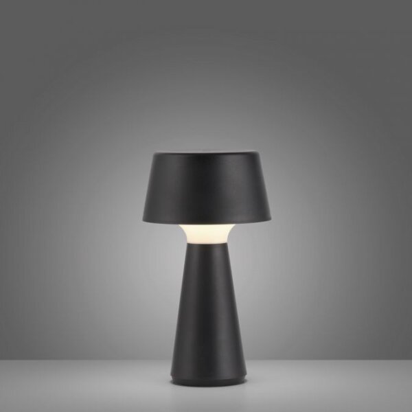 JUST LIGHT. 19260-18 - LED Stmievateľná vonkajšia lampa ABERA LED/3W/3,7V IP54