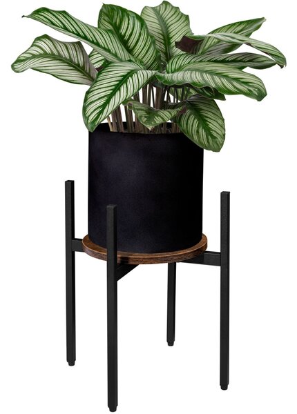 TZB Stojan na kvety TORRE RUSTIC 40 cm hnedý/čierny