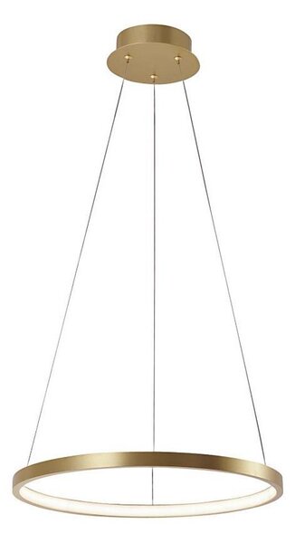 Leuchten Direkt 11522-12 - LED Luster na lanku CIRCLE LED/19W/230V