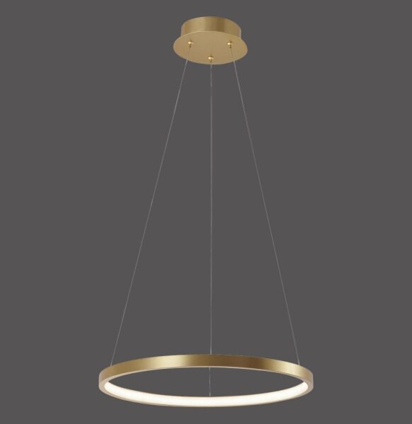 Leuchten Direkt 11522-12 - LED Luster na lanku CIRCLE LED/19W/230V