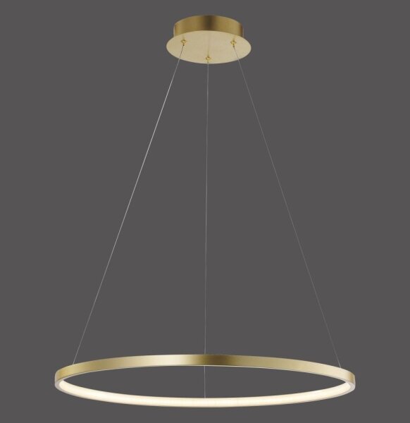 Leuchten Direkt 11524-12 - LED Luster na lanku CIRCLE LED/28,5W/230V