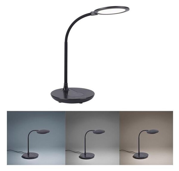 Leuchten Direkt 14416-18 - LED Stmievateľná lampa s nabíjaním ASTRID LED/5W/230V