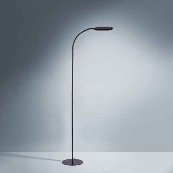 Leuchten Direkt 14406-18 - LED Stmievateľná stojacia lampa KELLY LED/7W/230V