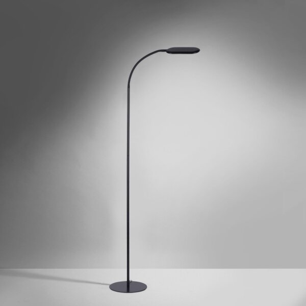 Leuchten Direkt 14406-18 - LED Stmievateľná stojacia lampa KELLY LED/7W/230V