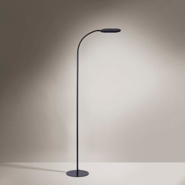 Leuchten Direkt 14406-18 - LED Stmievateľná stojacia lampa KELLY LED/7W/230V
