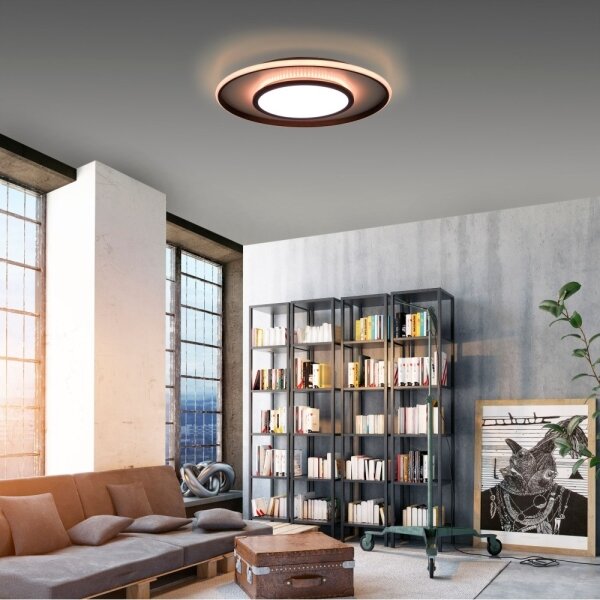 Leuchten Direkt 11627-18 - LED RGB Stmievateľné svietidlo ARENDA LED/31W/230V + DO