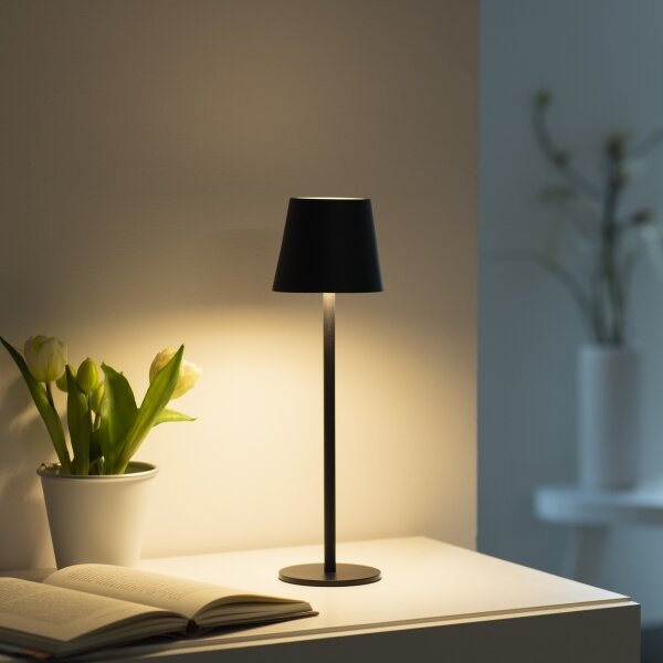 Leuchten Direkt19250-18-LED Vonkajšia nabíjacia lampa EURIA LED/3W/5V IP54 čierna