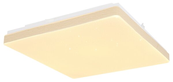Stropné LED svietidlo RAINA biela