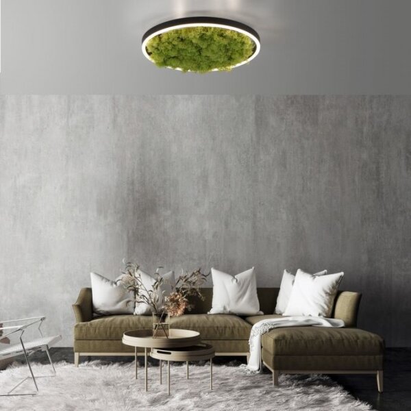 JUST LIGHT. 15391-66 - LED Stmievateľné stropné svietidlo ZELENÁ RITU LED/20W/230V