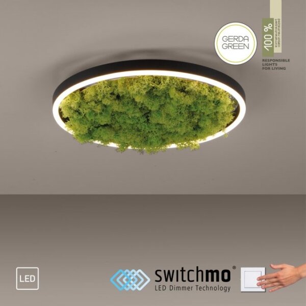 JUST LIGHT. 15391-66 - LED Stmievateľné stropné svietidlo ZELENÁ RITU LED/20W/230V