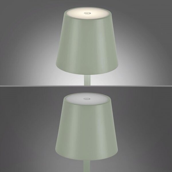 Leuchten Direkt 19250-43 - LED Vonkajšia nabíjacia lampa EURIA LED/3W/5V IP54