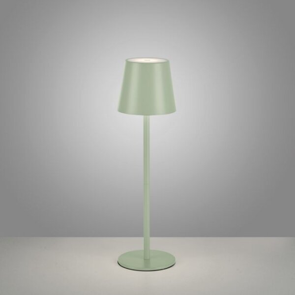 Leuchten Direkt 19250-43 - LED Vonkajšia nabíjacia lampa EURIA LED/3W/5V IP54