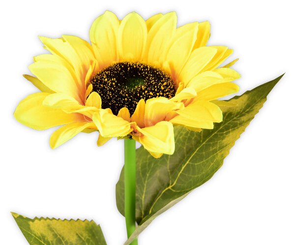 SOLÁRNE SVIETIDLO, 15/72 cm Ambia Garden - Vonkajšie osvetlenie