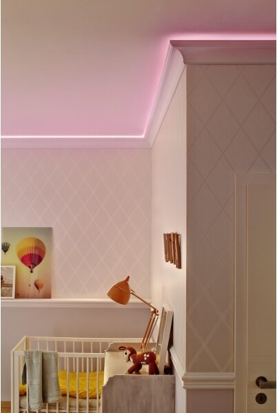 Ledvance - LED Vonkajší pásik FLEX 3m LED/19W/230V IP44