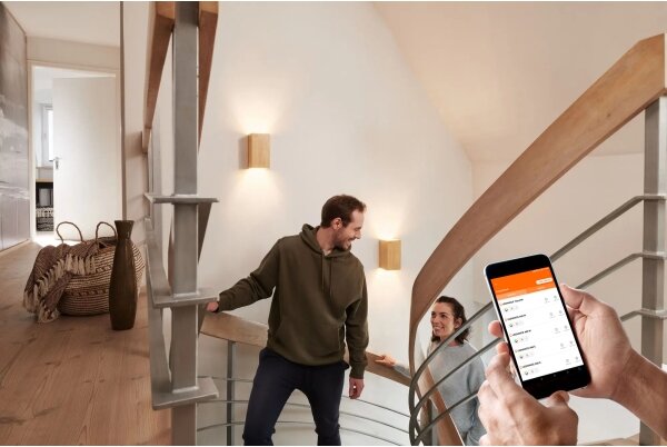 Ledvance - LED Stmievateľné nástenné svietidlo SMART+ WOOD LED/12W/230V Wi-Fi