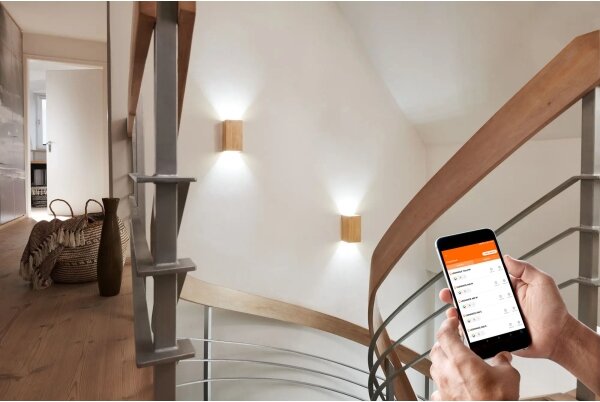 Ledvance - LED Stmievateľné nástenné svietidlo SMART+ WOOD LED/12W/230V Wi-Fi