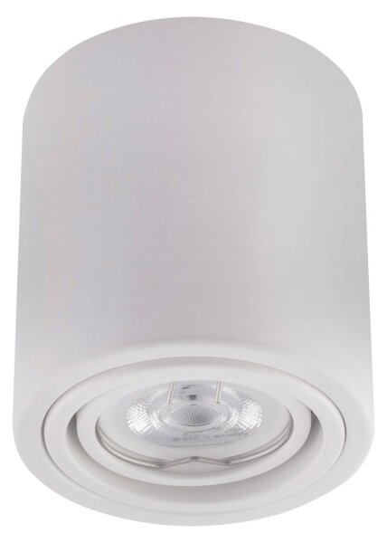 LED Bodové svietidlo TUBA 1xGU10/5W/230V 4000K biela