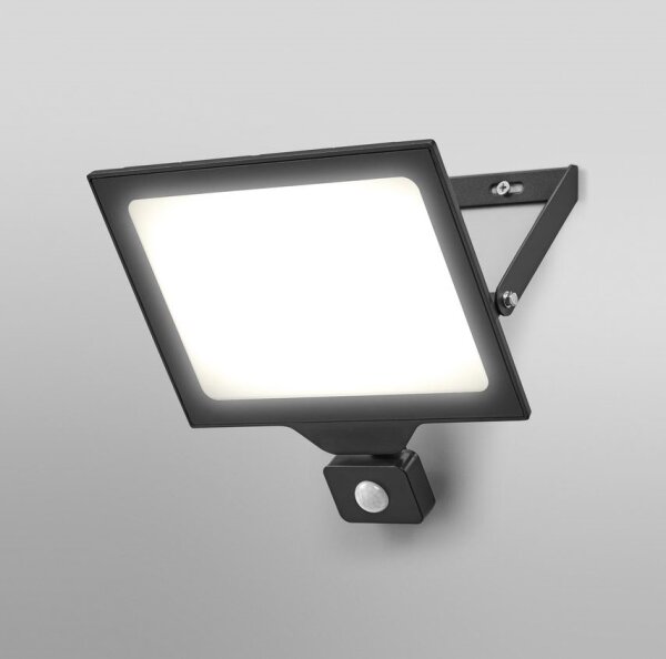 Ledvance - LED vonkajší reflektor s pohybovým senzorom FLOODLIGHT LED/100W/230V IP44