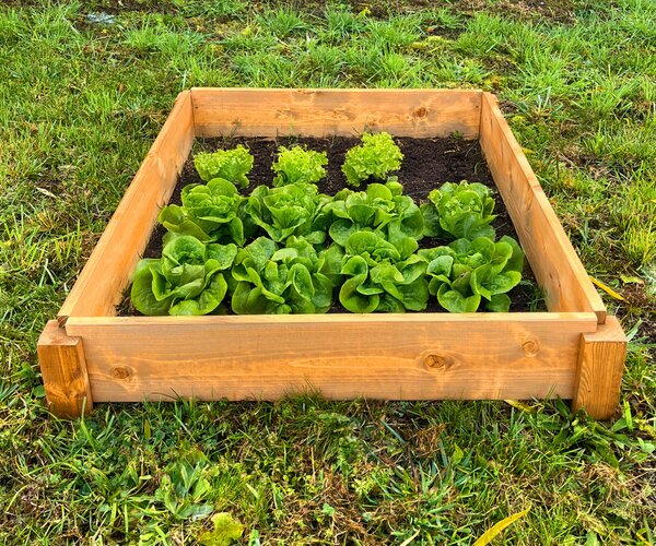 LSH Modul Box – Modulárny vyvýený záhon
