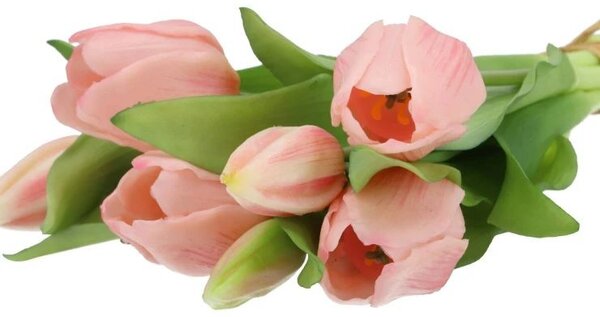 Kytica 7ks ružových realistických tulipánov Tulips - 43cm - daan kromhout