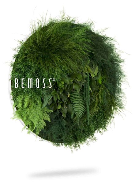 Bemoss® - E-SHOP - Machový obraz kruh Rastliny R7