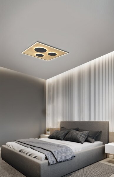 Wofi 9012-306L - LED Stmievateľné stropné svietidlo DIJON LED/40W/230V